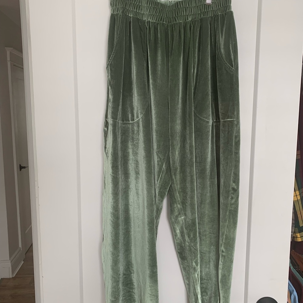 Red Sky shop sage velour pants
